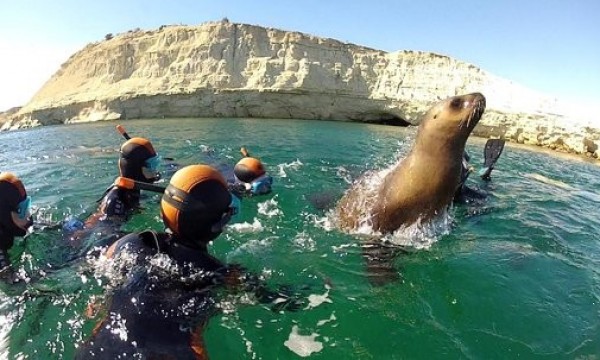 PUERTO MADRYN - TEMPORADA DE BALLENAS