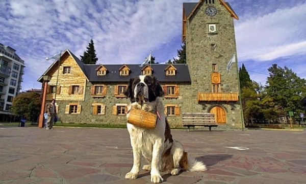 BARILOCHE Y SAN MARTIN DE LOS ANDES - VERANO 2026