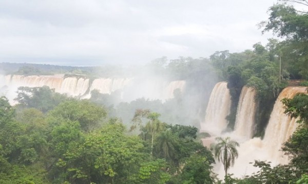 BAÑADOS Y SELVA