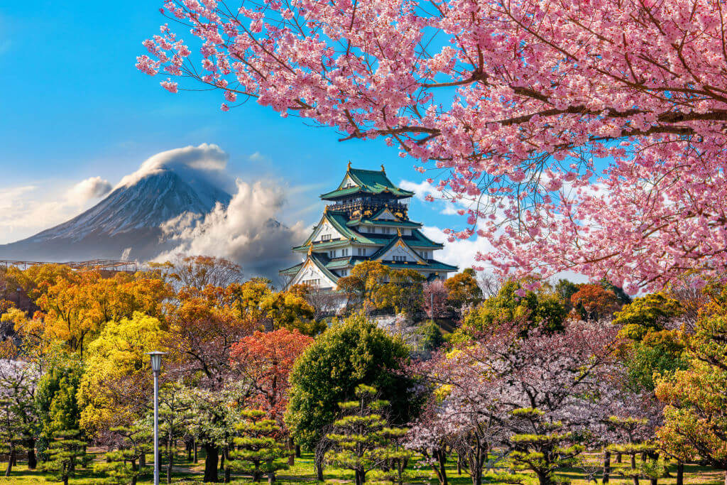 COREA DEL SUR Y JAPÓN EN ÉPOCA DE CEREZOS