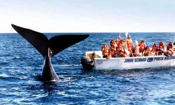 PUERTO MADRYN