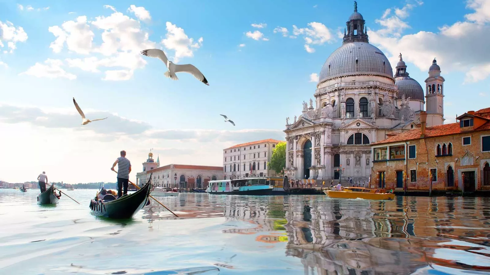 CLASICOS DE EUROPA & CARNAVAL DE VENECIA